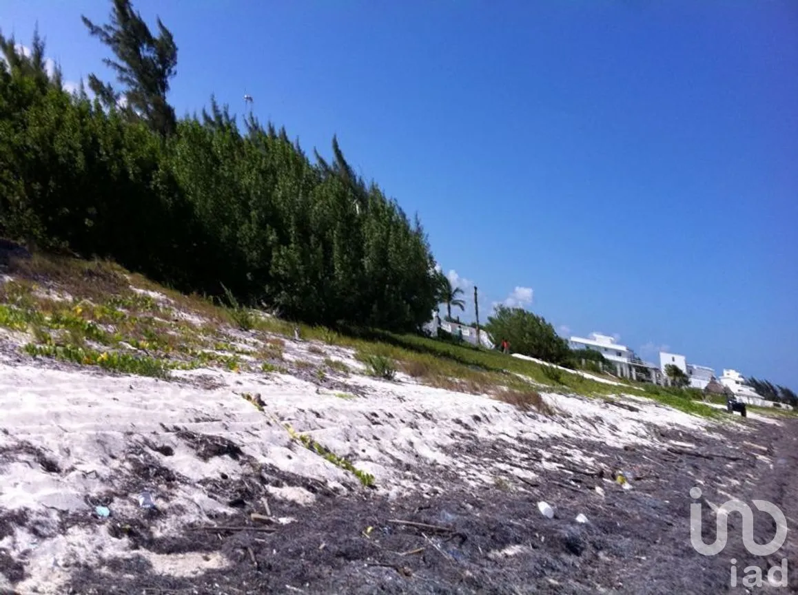 Terreno en Venta en Puerto Morelos, Puerto Morelos, Quintana Roo | NEX-280576 | iad México | Foto 12 de 12