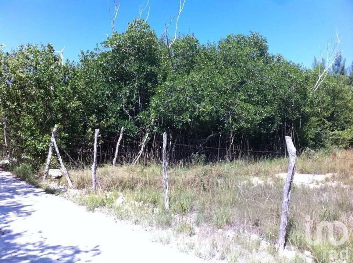 Terreno en Venta en Puerto Morelos, Puerto Morelos, Quintana Roo | NEX-280576 | iad México | Foto 3 de 12