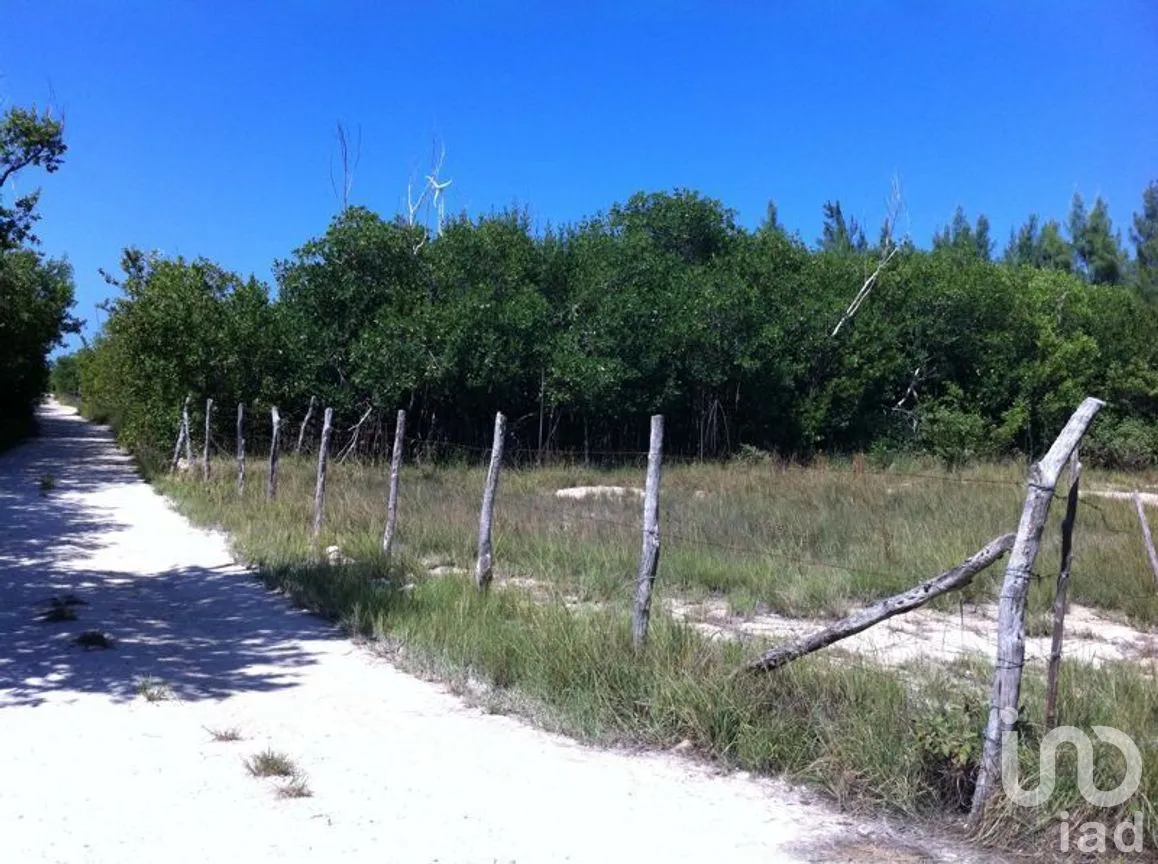 Terreno en Venta en Puerto Morelos, Puerto Morelos, Quintana Roo | NEX-280576 | iad México | Foto 4 de 12