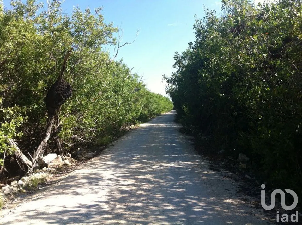 Terreno en Venta en Puerto Morelos, Puerto Morelos, Quintana Roo | NEX-280576 | iad México | Foto 5 de 12