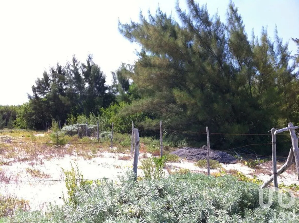 Terreno en Venta en Puerto Morelos, Puerto Morelos, Quintana Roo | NEX-280576 | iad México | Foto 6 de 12