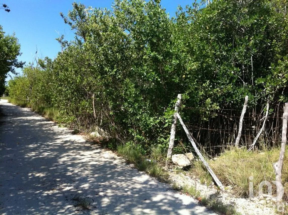 Terreno en Venta en Puerto Morelos, Puerto Morelos, Quintana Roo | NEX-280576 | iad México | Foto 7 de 12