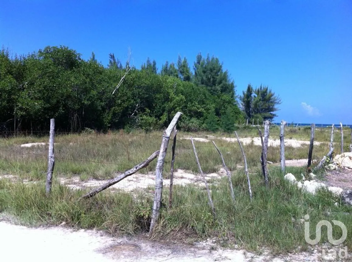 Terreno en Venta en Puerto Morelos, Puerto Morelos, Quintana Roo | NEX-280576 | iad México | Foto 8 de 12