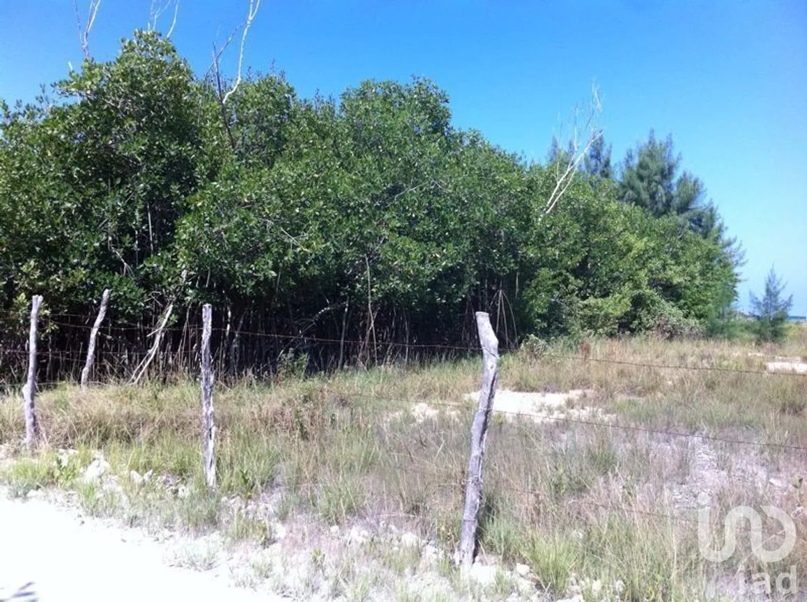 Terreno en Venta en Puerto Morelos, Puerto Morelos, Quintana Roo | NEX-280576 | iad México | Foto 9 de 12