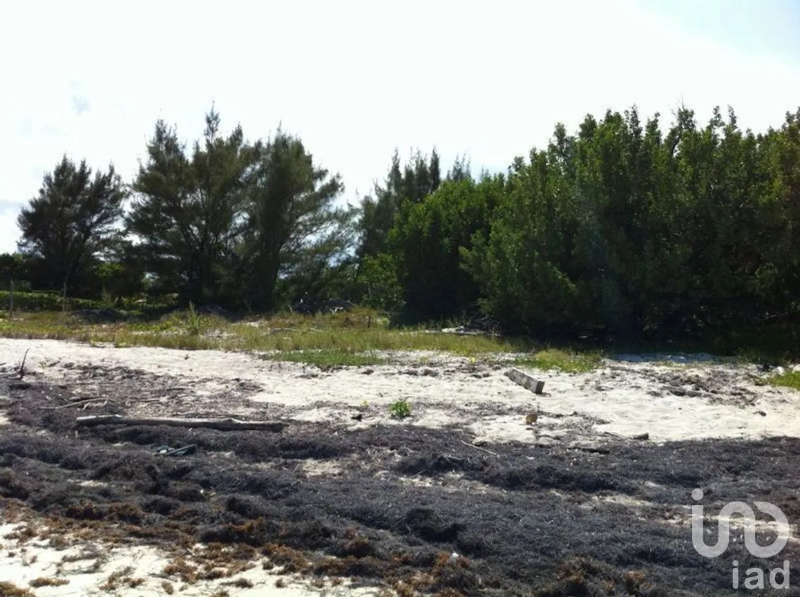Terreno en Venta en Puerto Morelos, Puerto Morelos, Quintana Roo | NEX-280576 | iad México | Foto 10 de 12