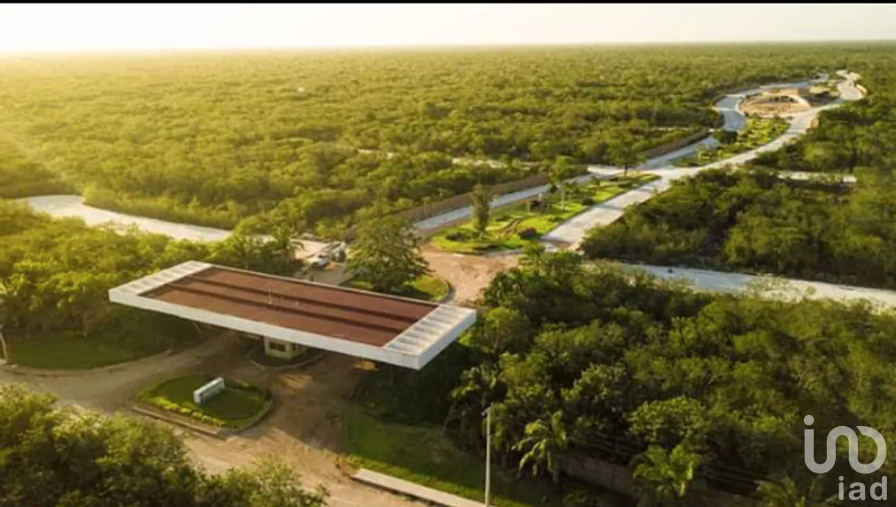 Terreno en Venta en Tamanché, Mérida, Yucatán | NEX-280591 | iad México | Foto 6 de 12