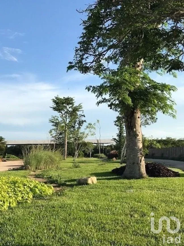 Terreno en Venta en Tamanché, Mérida, Yucatán | NEX-280591 | iad México | Foto 10 de 12