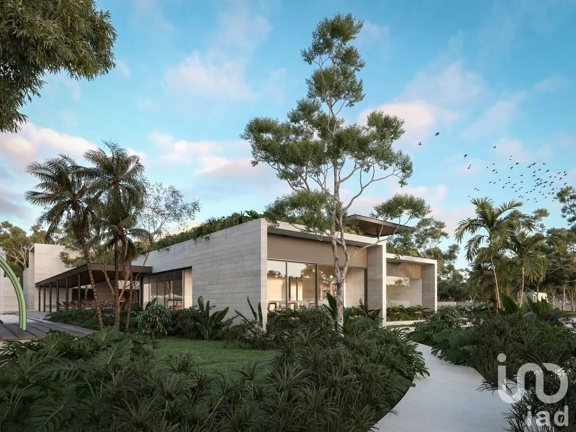 Terreno en Venta en La Ceiba, Mérida, Yucatán | NEX-280607 | iad México | Foto 8 de 25