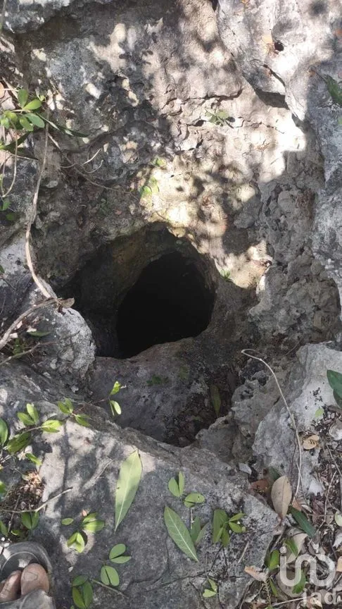 Terreno en Venta en San Ignacio Tesip, Mérida, Yucatán | NEX-288696 | iad México | Foto 3 de 3