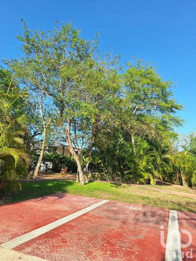 Casa en Venta en Tamanché, Mérida, Yucatán | NEX-294018 | iad México | Foto 46 de 46