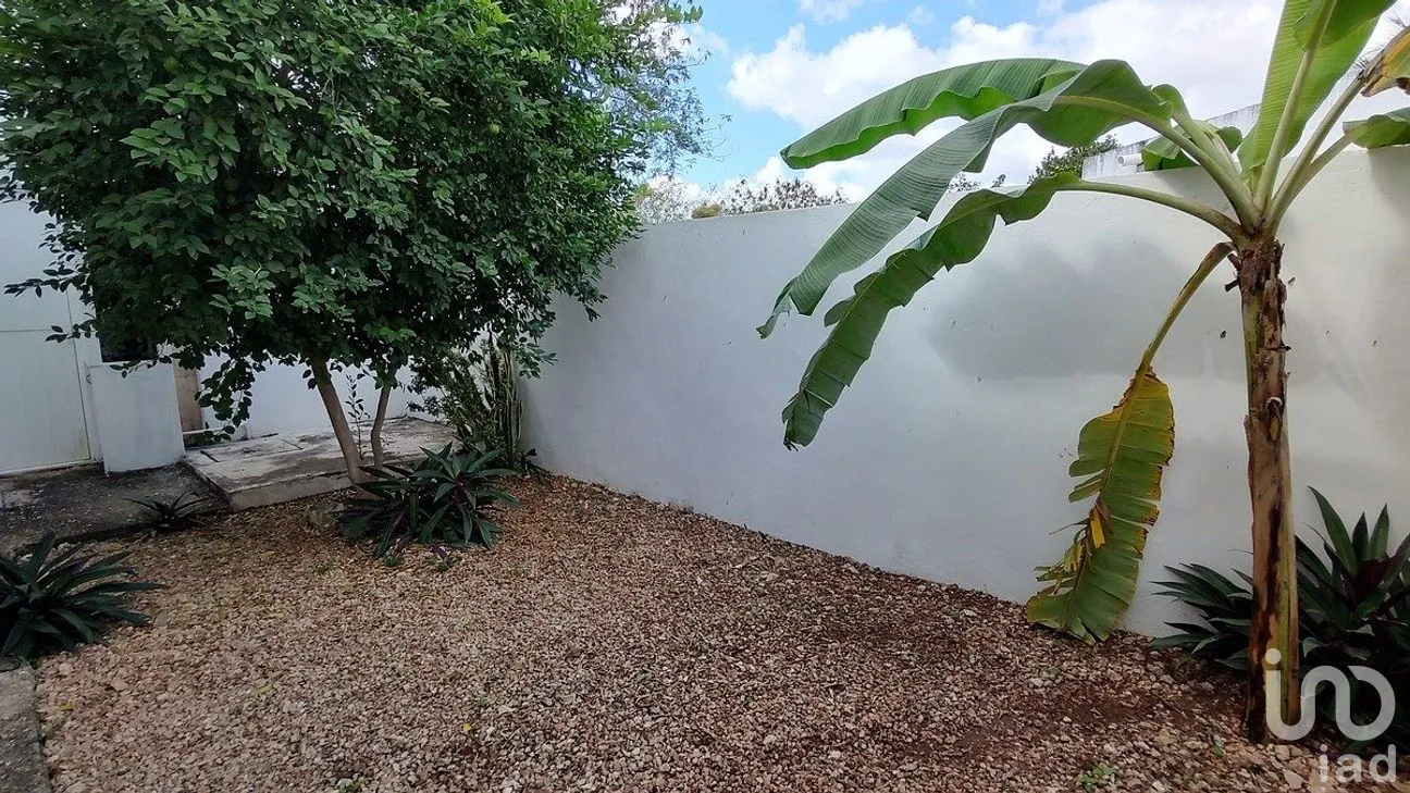 Casa en Venta en Maya, Mérida, Yucatán | NEX-294665 | iad México | Foto 9 de 19