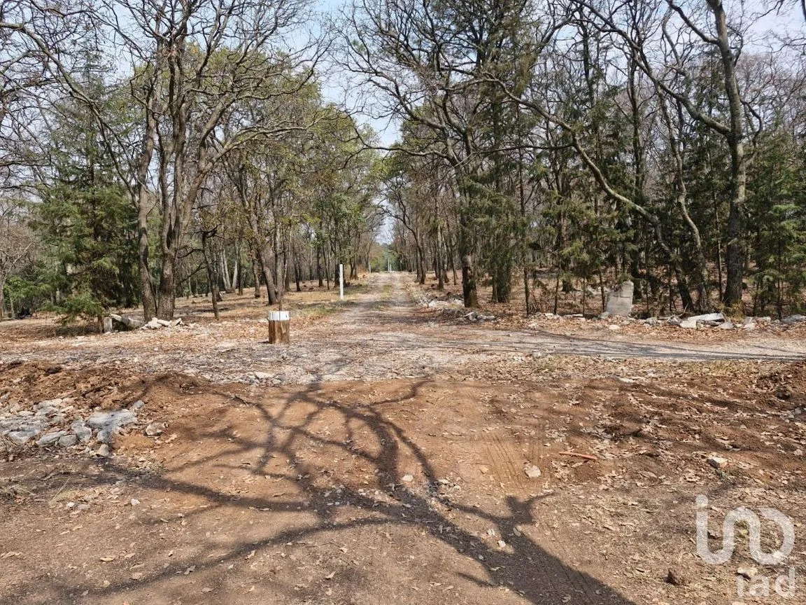 Terreno en Venta en Santa María Mazatla, Jilotzingo, Estado De México | NEX-227052 | iad México | Foto 8 de 14