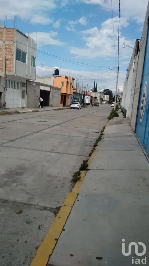 Terreno en Renta en Domingo Arenas, San Martín Texmelucan, Puebla | NEX-106581 | iad México | Foto 11 de 12