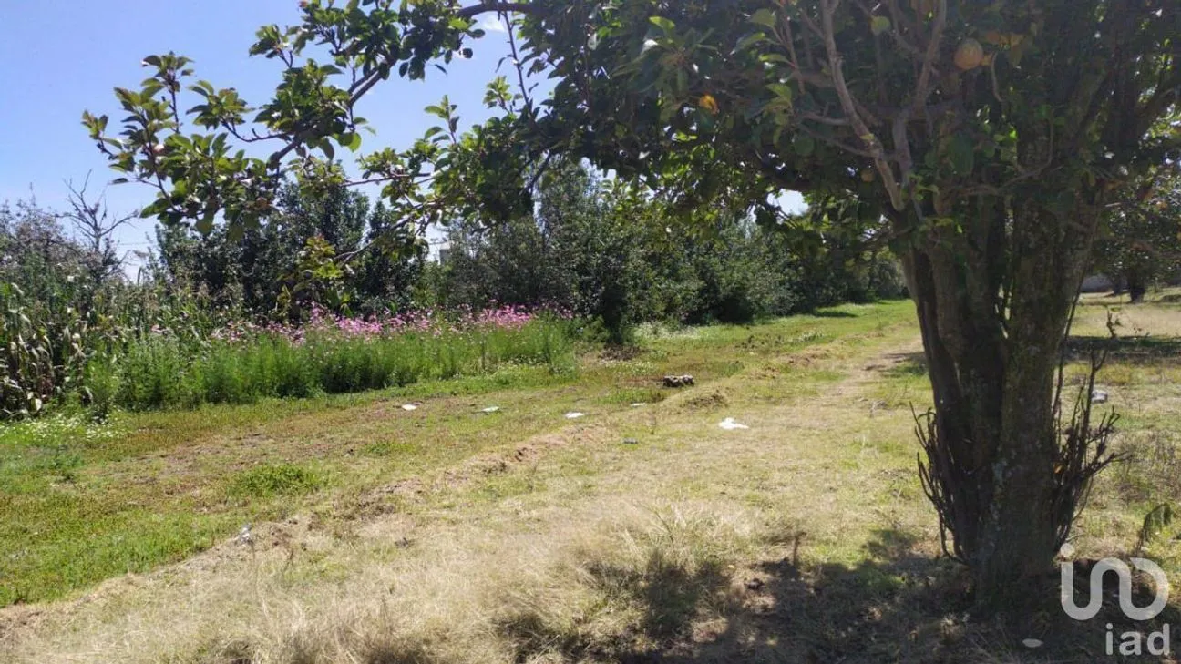 Terreno en Venta en San Felipe Teotlalcingo, San Felipe Teotlalcingo, Puebla | NEX-232171 | iad México | Foto 2 de 14