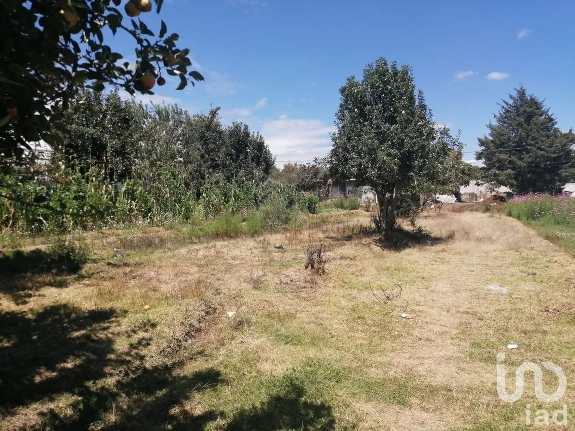 Terreno en Venta en San Felipe Teotlalcingo, San Felipe Teotlalcingo, Puebla | NEX-232171 | iad México | Foto 11 de 14
