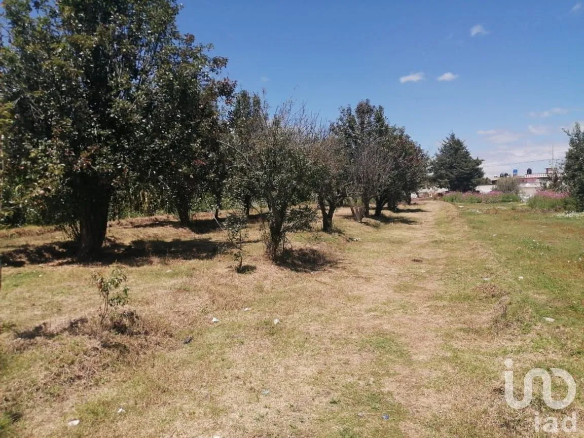 Terreno en Venta en San Felipe Teotlalcingo, San Felipe Teotlalcingo, Puebla | NEX-232171 | iad México | Foto 12 de 14