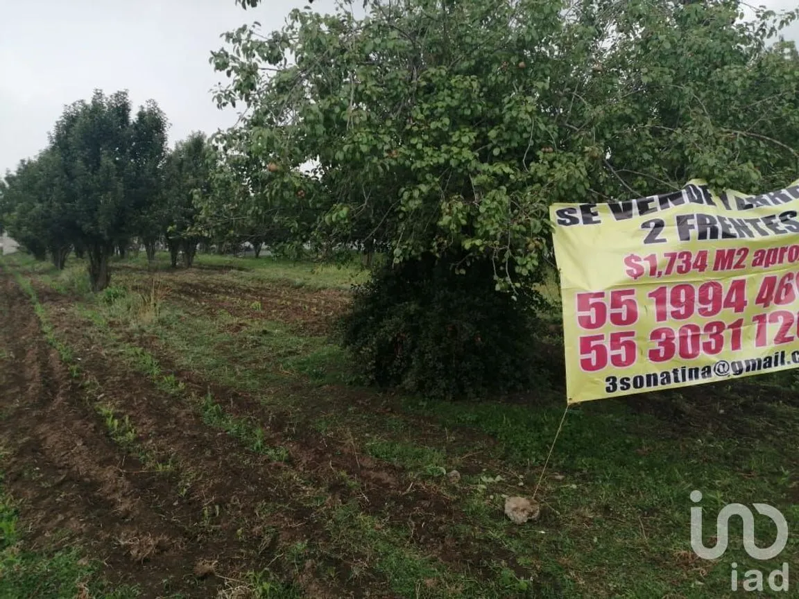 Terreno en Venta en San Felipe Teotlalcingo, San Felipe Teotlalcingo, Puebla | NEX-232171 | iad México | Foto 14 de 14