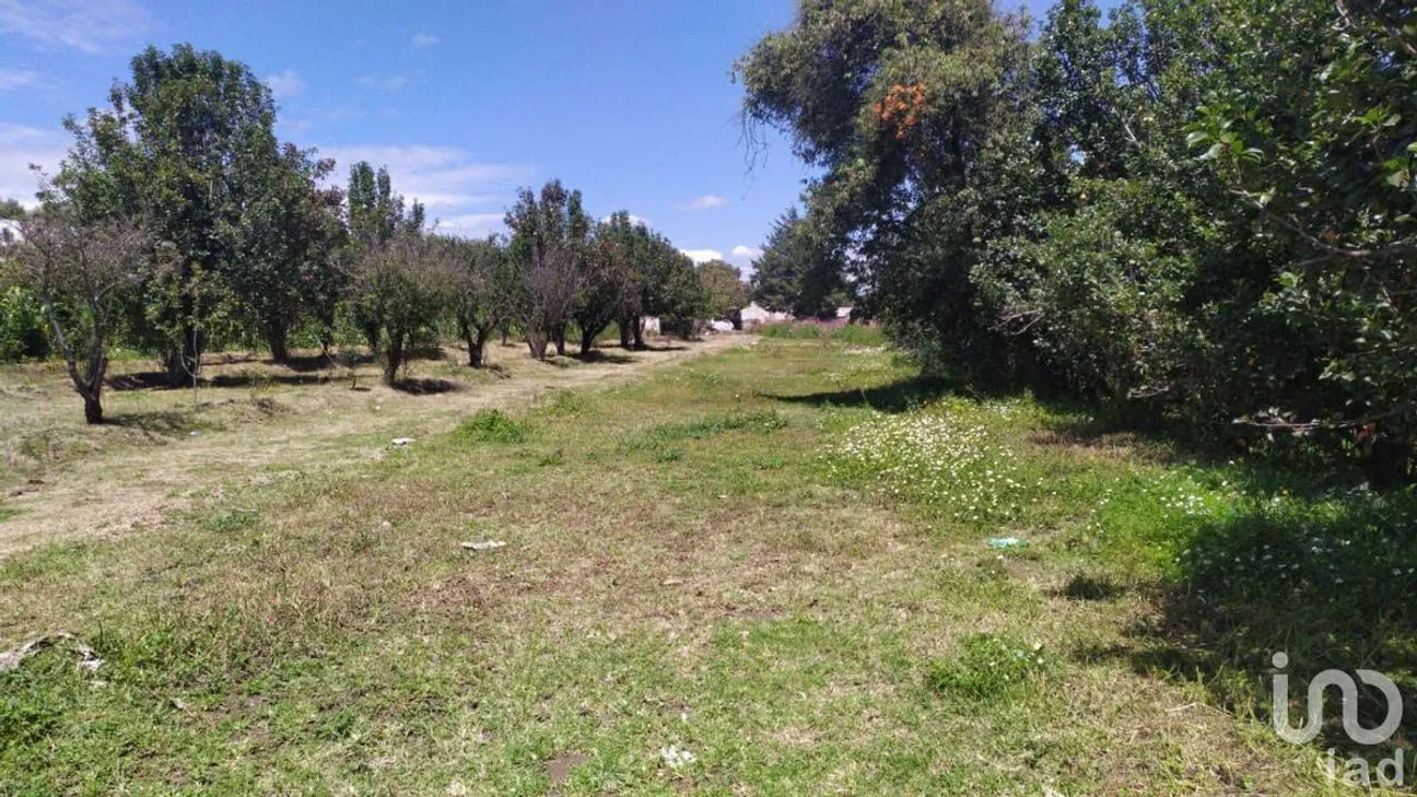 Terreno en Venta en San Felipe Teotlalcingo, San Felipe Teotlalcingo, Puebla | NEX-232171 | iad México | Foto 6 de 14