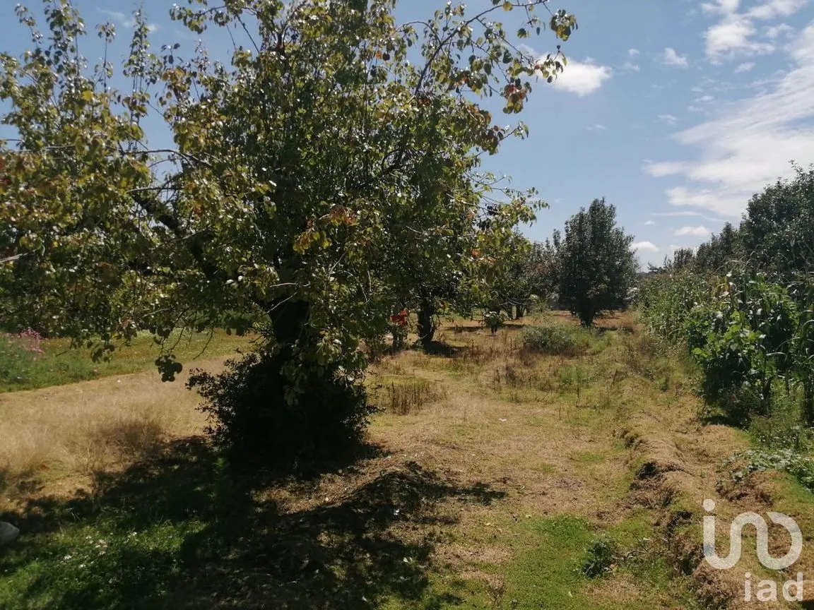 Terreno en Venta en San Felipe Teotlalcingo, San Felipe Teotlalcingo, Puebla | NEX-232171 | iad México | Foto 7 de 14