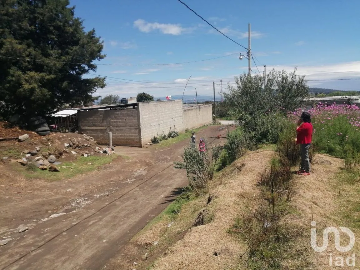 Terreno en Venta en San Felipe Teotlalcingo, San Felipe Teotlalcingo, Puebla | NEX-232171 | iad México | Foto 8 de 14