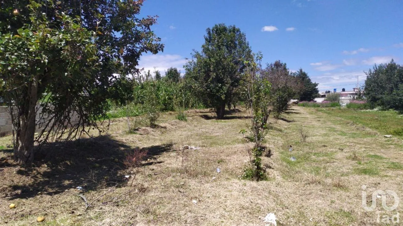 Terreno en Venta en San Felipe Teotlalcingo, San Felipe Teotlalcingo, Puebla | NEX-232171 | iad México | Foto 9 de 14