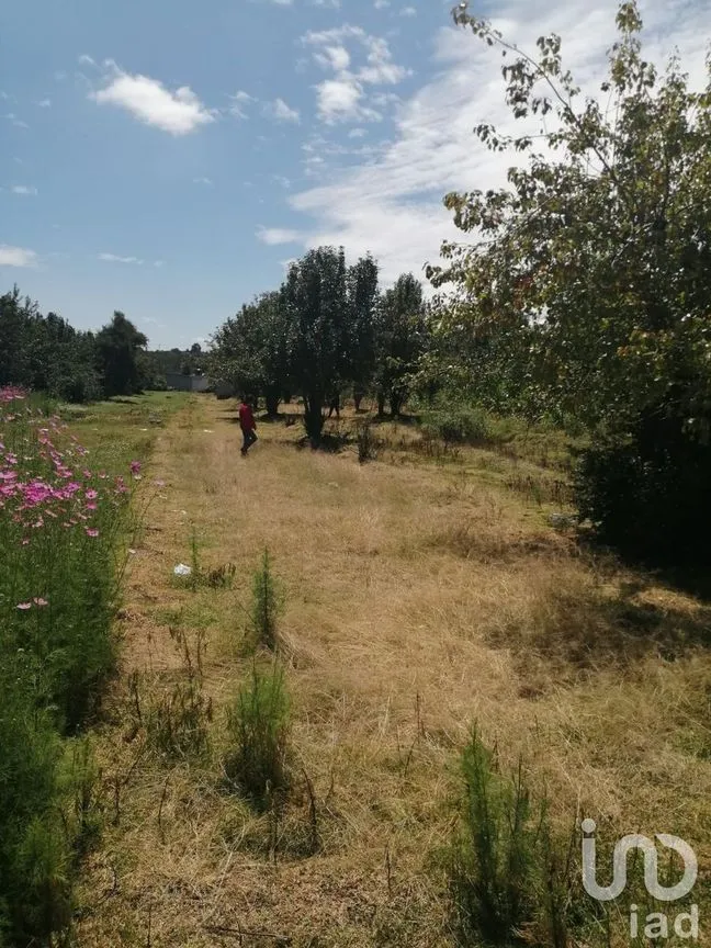 Terreno en Venta en San Felipe Teotlalcingo, San Felipe Teotlalcingo, Puebla | NEX-232171 | iad México | Foto 10 de 14