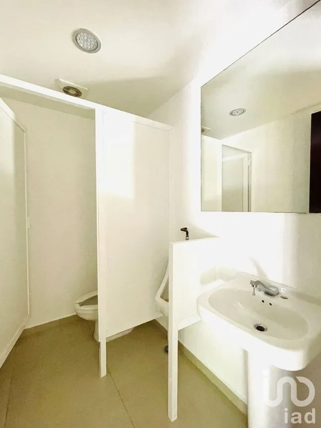 Casa en Venta en Lomas de Chapultepec, Miguel Hidalgo, Ciudad de México | NEX-230626 | iad México | Foto 23 de 42