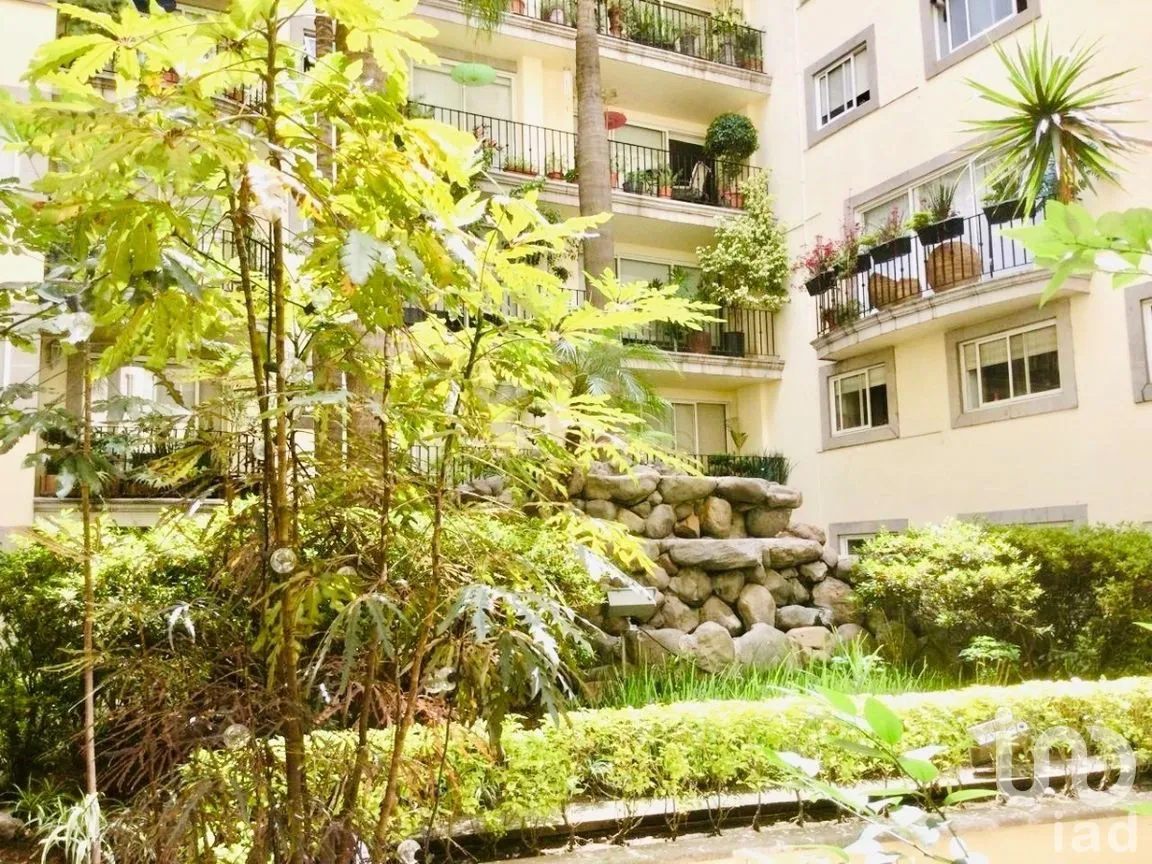 Departamento en Renta en Polanco I Sección, Miguel Hidalgo, Ciudad de México | NEX-267279 | iad México | Foto 14 de 14