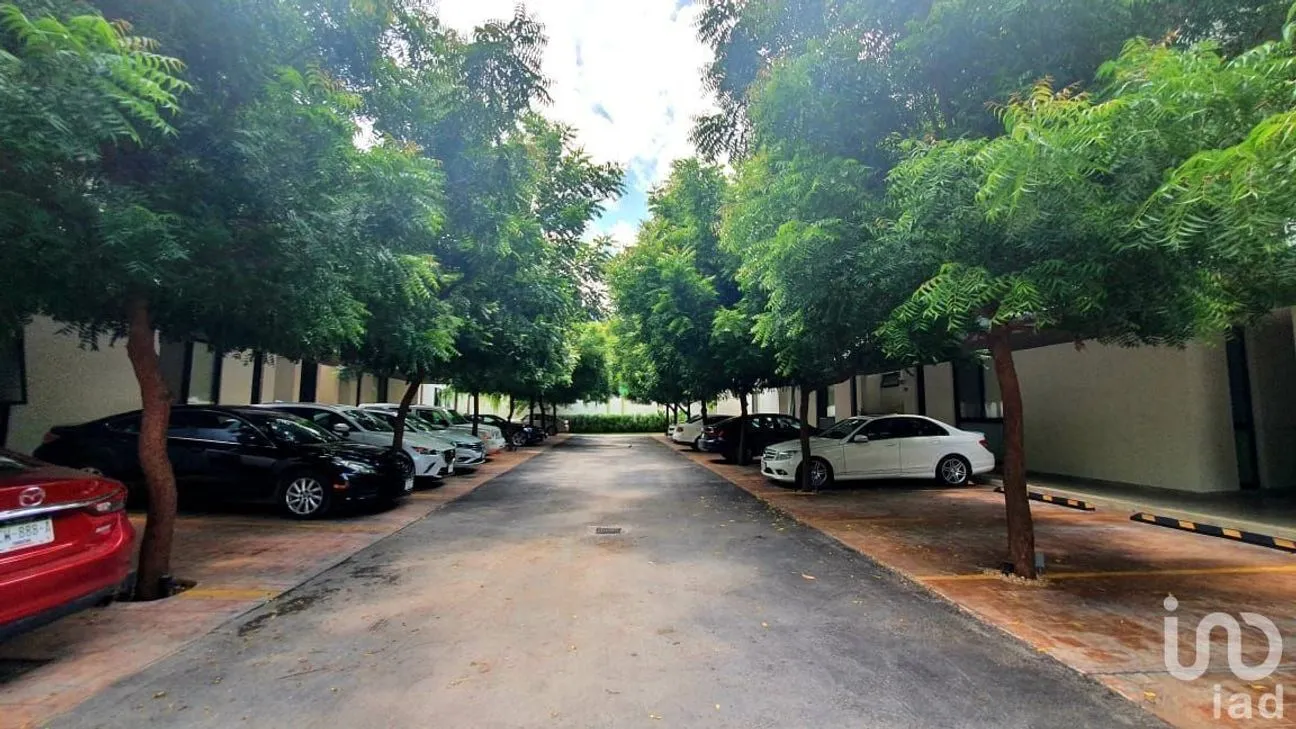 Departamento en Renta en Benito Juárez Nte, Mérida, Yucatán | NEX-228903 | iad México | Foto 2 de 9