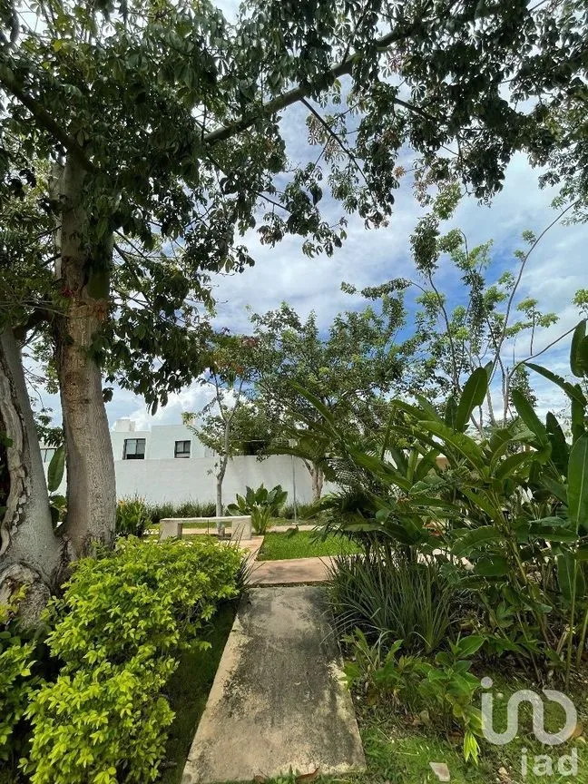 Casa en Venta en Cholul, Mérida, Yucatán | NEX-228908 | iad México | Foto 25 de 26