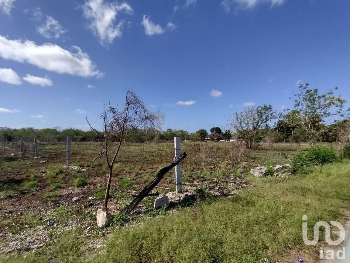Terreno en Venta en Kikteil, Mérida, Yucatán | NEX-226770 | iad México | Foto 1 de 5