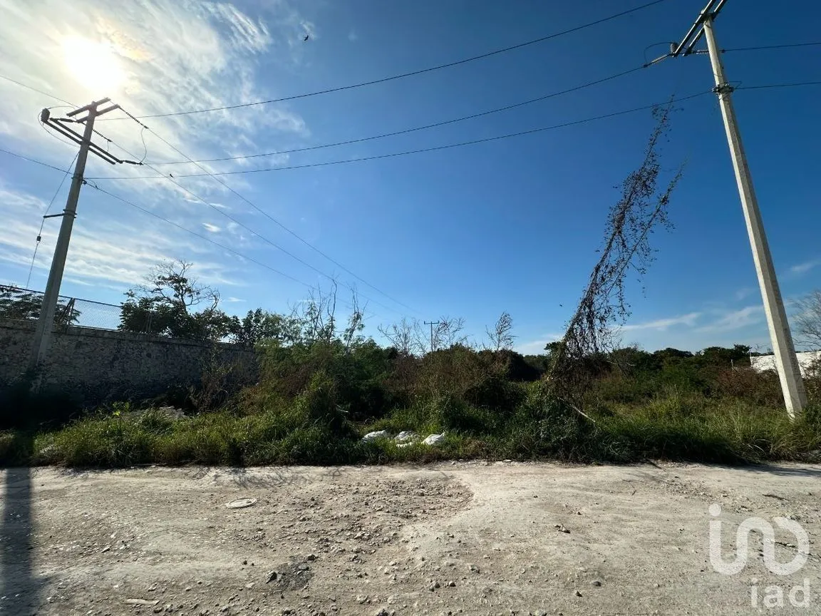 Terreno en Venta en San Antonio Hool, Mérida, Yucatán | NEX-229894 | iad México | Foto 3 de 4