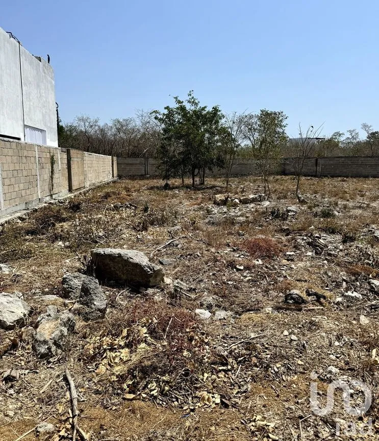 Terreno en Venta en Chablekal, Mérida, Yucatán | NEX-229917 | iad México | Foto 1 de 1