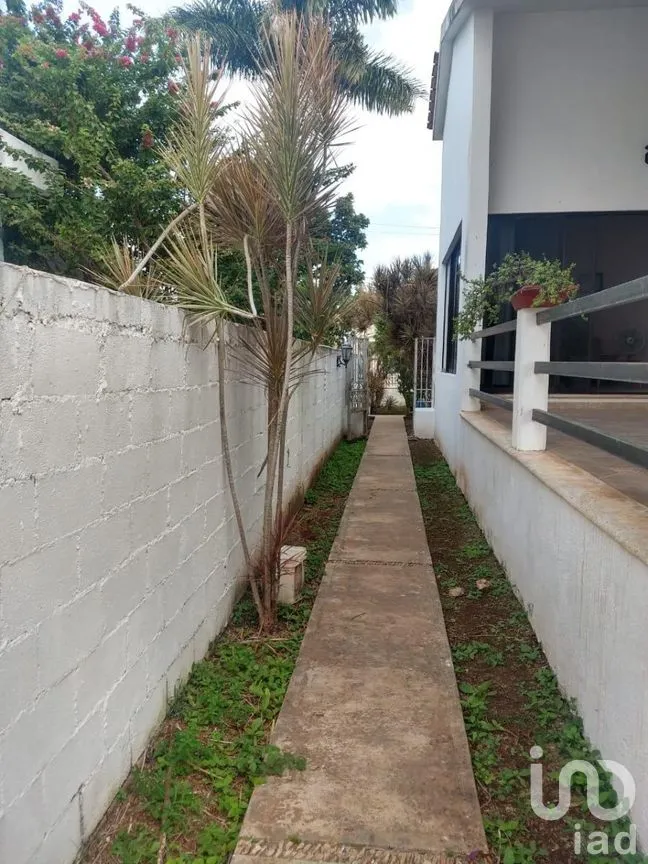 Casa en Venta en Benito Juárez Nte, Mérida, Yucatán | NEX-273762 | iad México | Foto 3 de 50