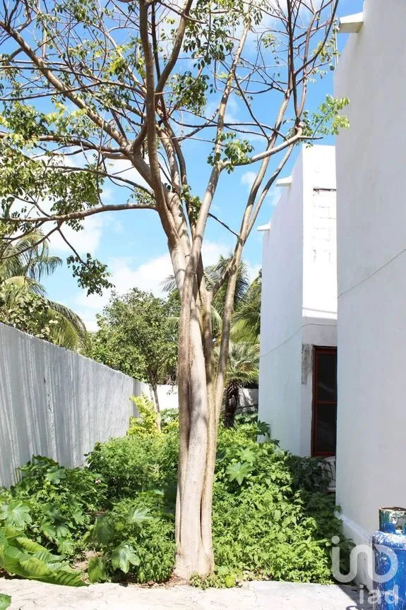 Casa en Venta en Progreso de Castro Centro, Progreso, Yucatán | NEX-273770 | iad México | Foto 6 de 19