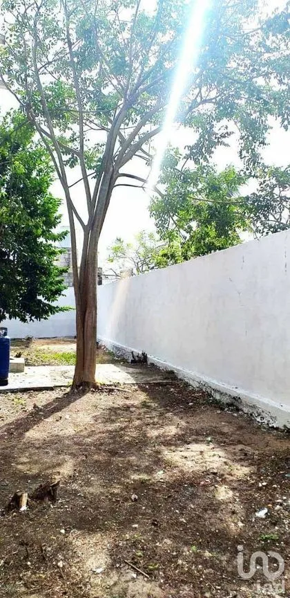 Casa en Venta en Progreso de Castro Centro, Progreso, Yucatán | NEX-273770 | iad México | Foto 7 de 19