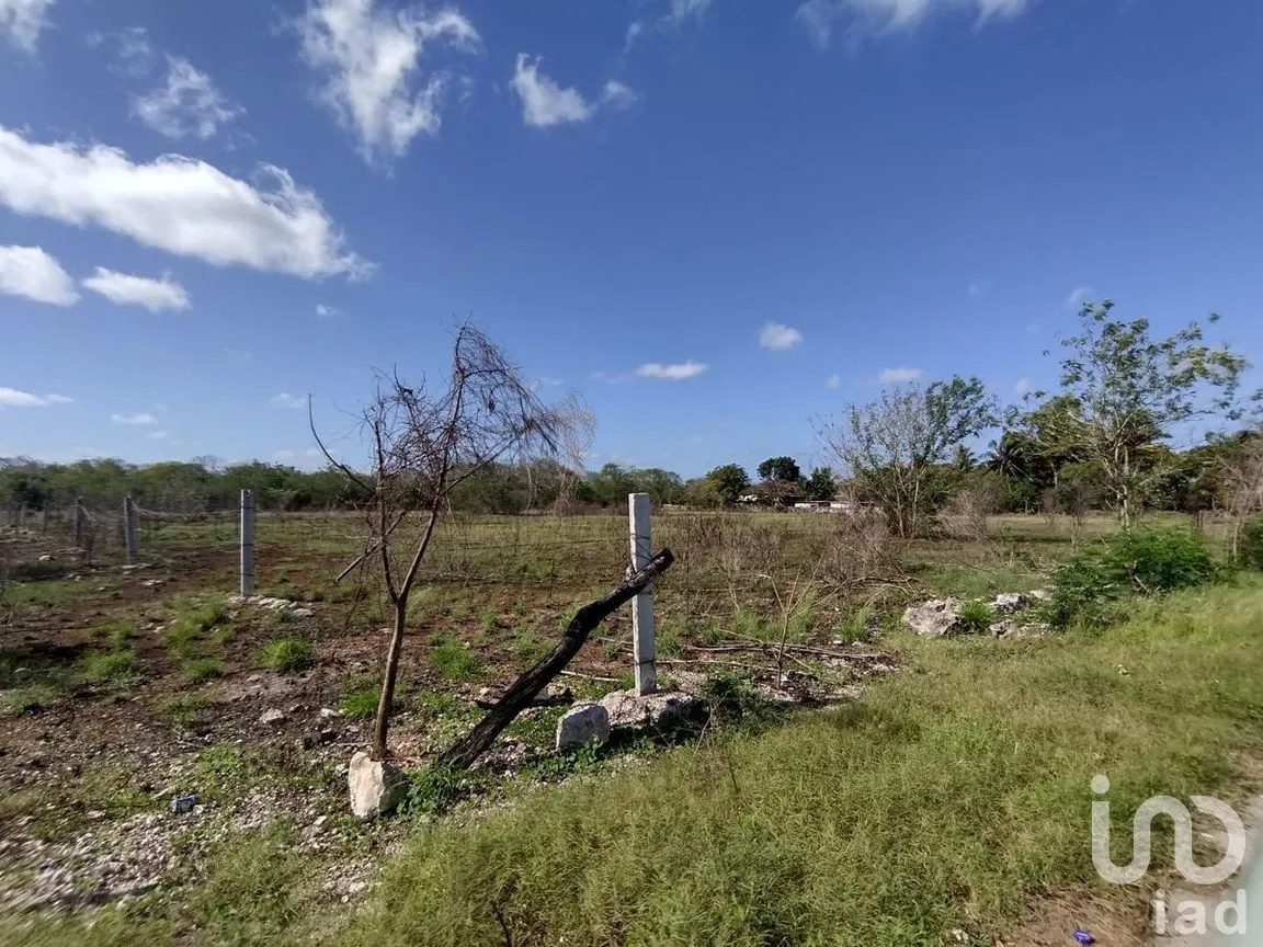 Terreno en Venta en Kikteil, Mérida, Yucatán | NEX-273779 | iad México | Foto 1 de 5