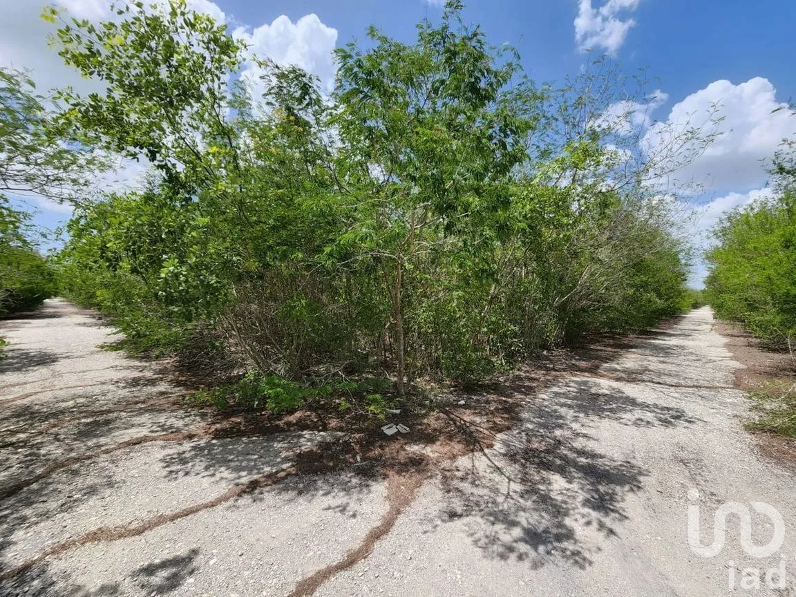 Terreno en Venta en Kikteil, Mérida, Yucatán | NEX-273786 | iad México | Foto 2 de 3