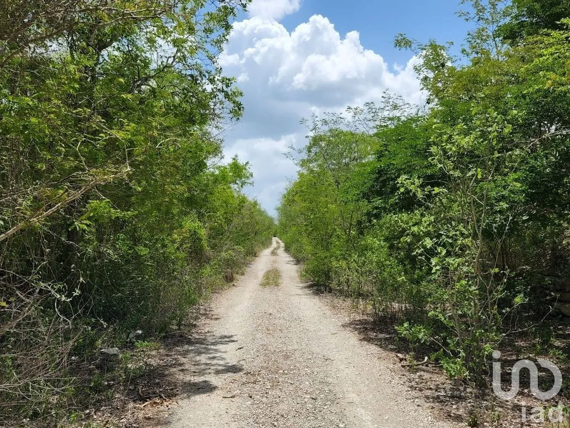 Terreno en Venta en Kikteil, Mérida, Yucatán | NEX-273786 | iad México | Foto 3 de 3