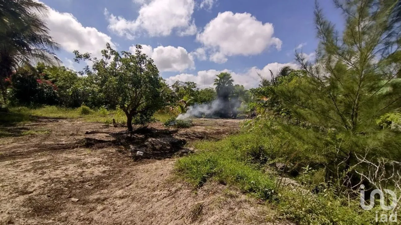 Terreno en Venta en Chelem, Progreso, Yucatán | NEX-273793 | iad México | Foto 2 de 11