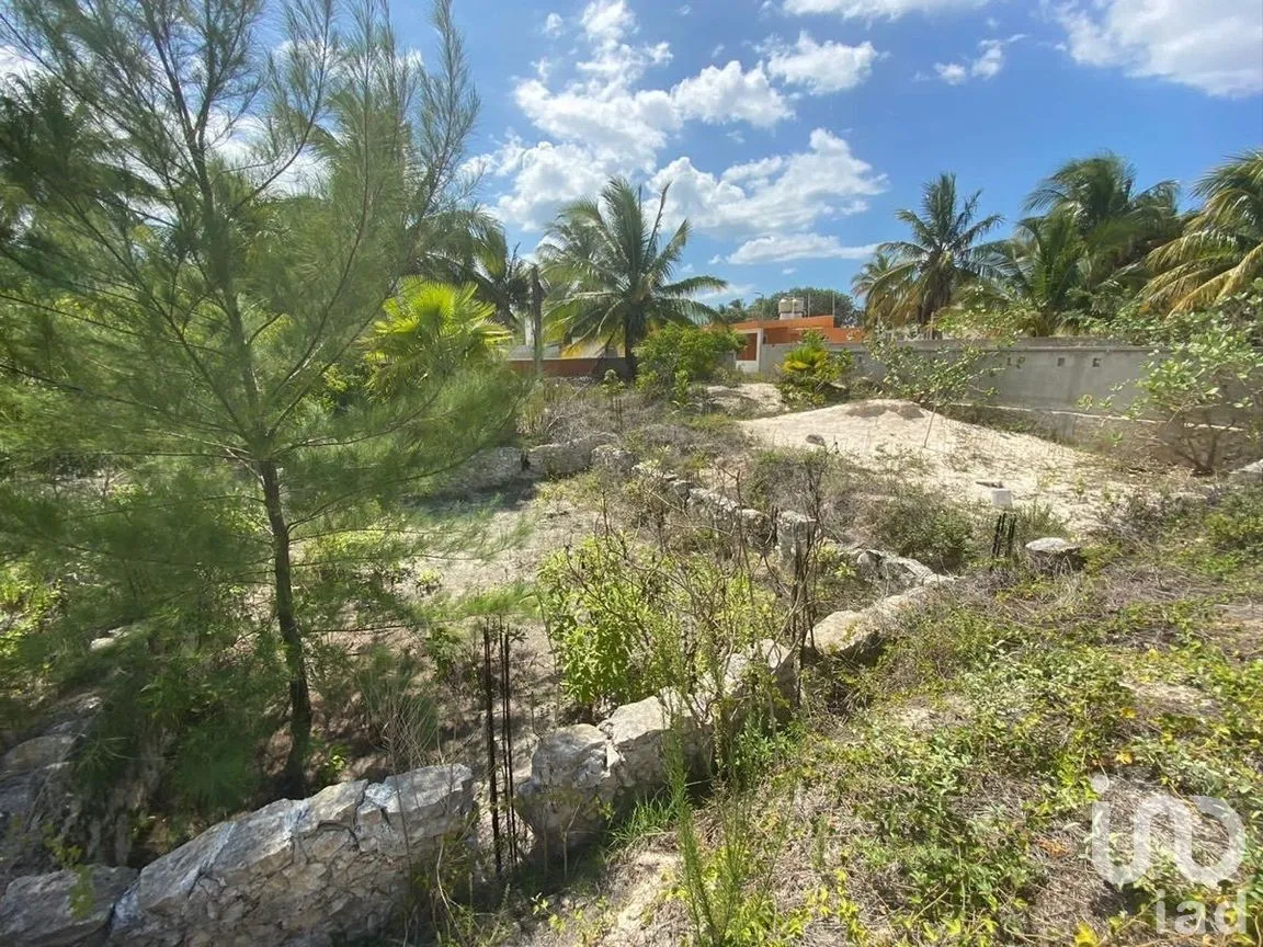 Terreno en Venta en Chelem, Progreso, Yucatán | NEX-273793 | iad México | Foto 11 de 11