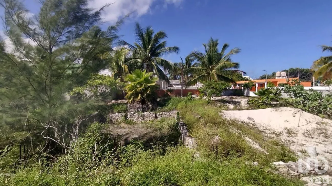 Terreno en Venta en Chelem, Progreso, Yucatán | NEX-273793 | iad México | Foto 3 de 11