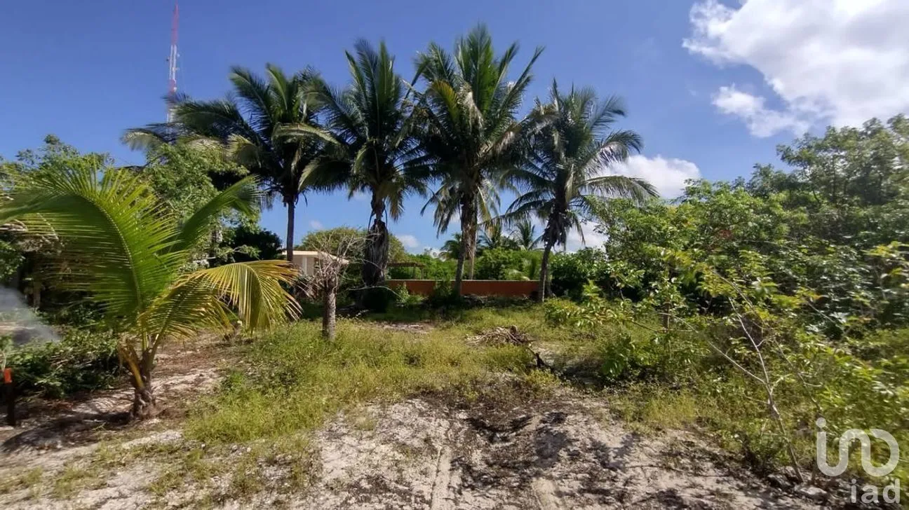 Terreno en Venta en Chelem, Progreso, Yucatán | NEX-273793 | iad México | Foto 4 de 11
