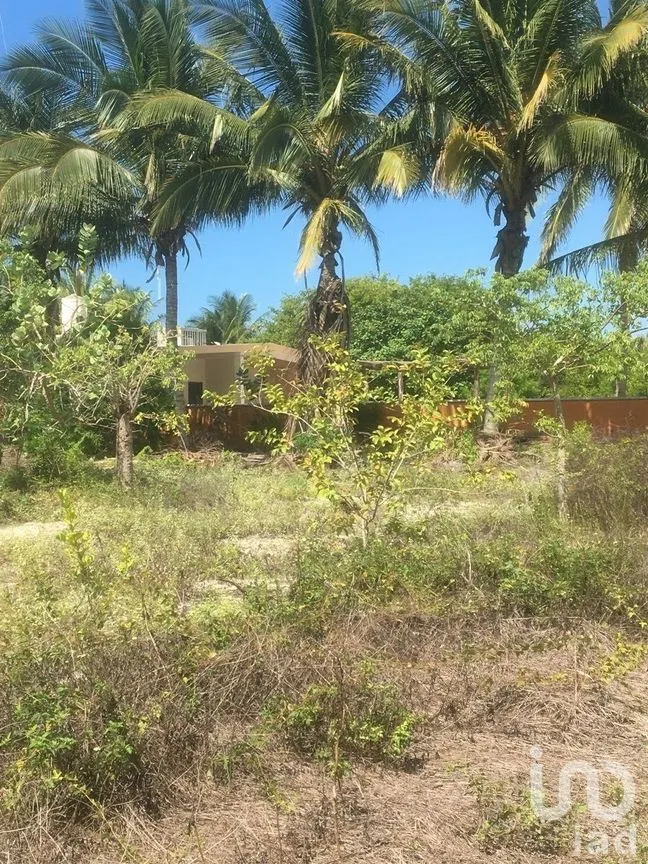 Terreno en Venta en Chelem, Progreso, Yucatán | NEX-273793 | iad México | Foto 7 de 11