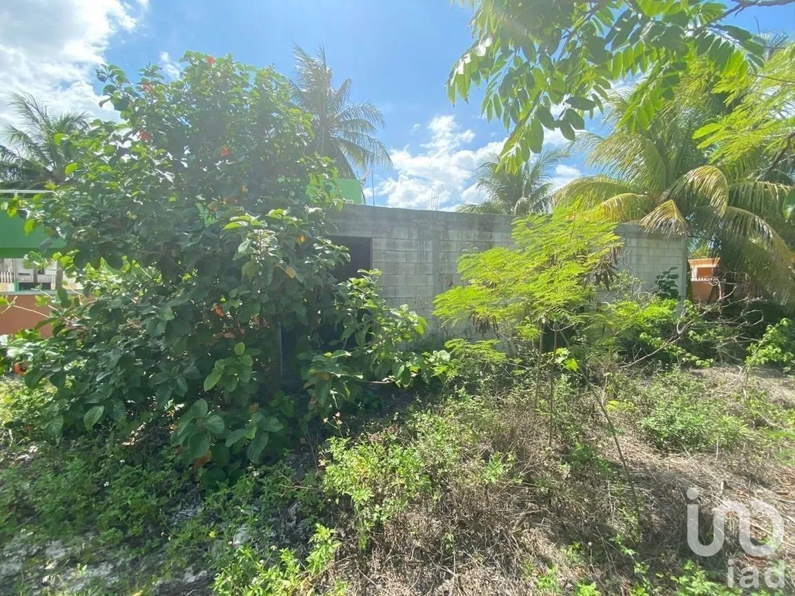 Terreno en Venta en Chelem, Progreso, Yucatán | NEX-273793 | iad México | Foto 8 de 11