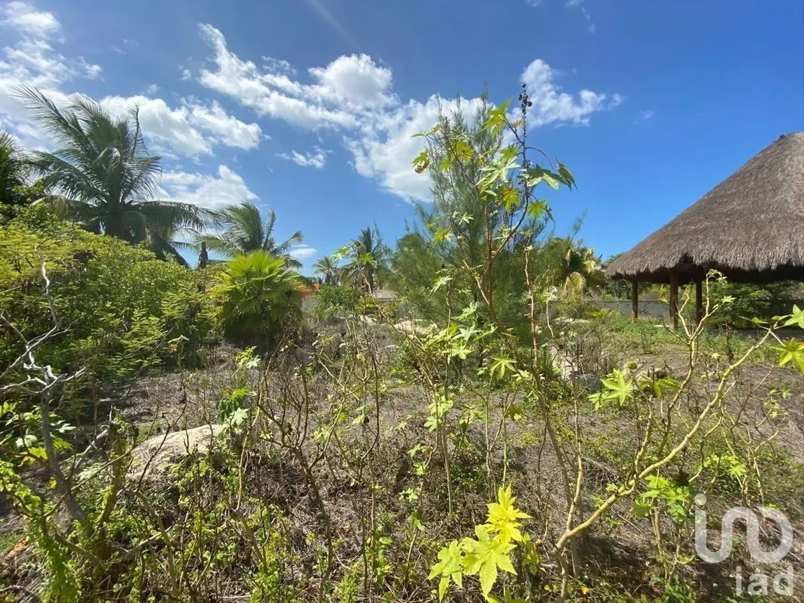 Terreno en Venta en Chelem, Progreso, Yucatán | NEX-273793 | iad México | Foto 9 de 11