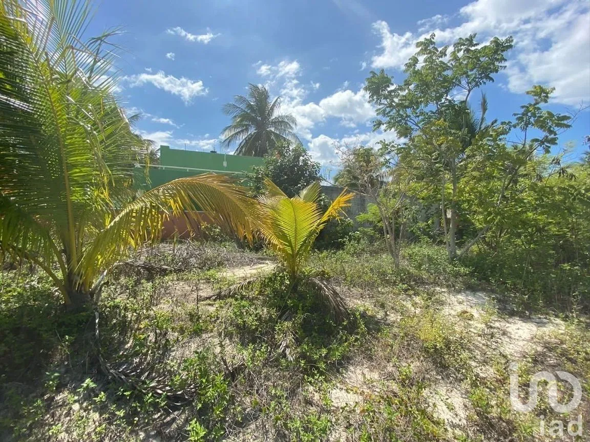 Terreno en Venta en Chelem, Progreso, Yucatán | NEX-273793 | iad México | Foto 10 de 11