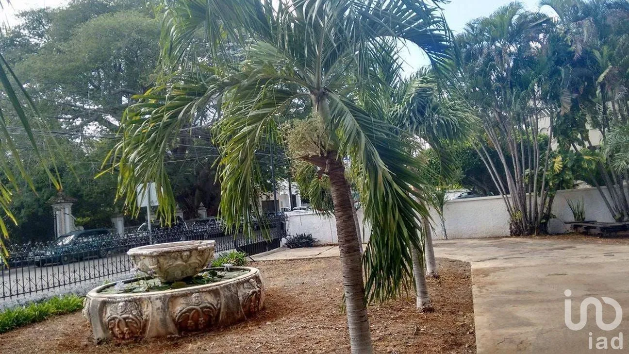 Casa en Renta en Alcalá Martín, Mérida, Yucatán | NEX-273824 | iad México | Foto 9 de 20