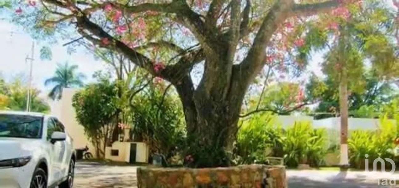 Casa en Venta en Club de Golf La Ceiba, Mérida, Yucatán | NEX-273845 | iad México | Foto 7 de 19