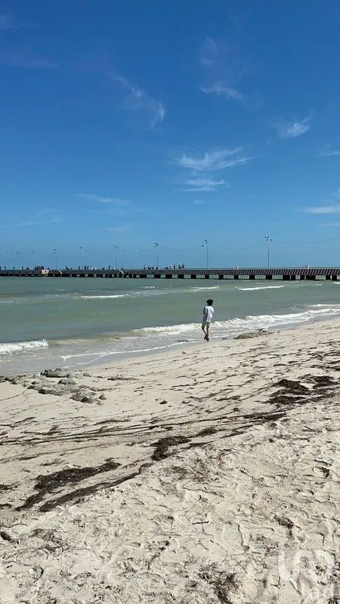 Casa en Venta en Chicxulub Puerto, Progreso, Yucatán | NEX-273862 | iad México | Foto 17 de 27